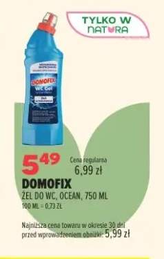 Żel do WC Domofix Ocean